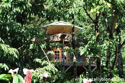 finca-bellavista-38