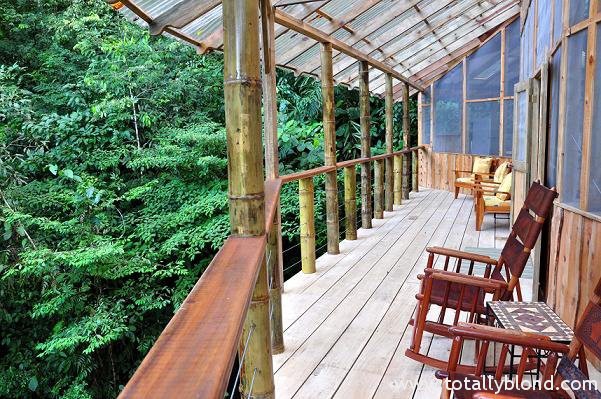 finca-bellavista-39