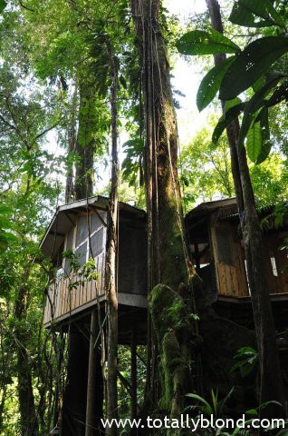 finca-bellavista-7