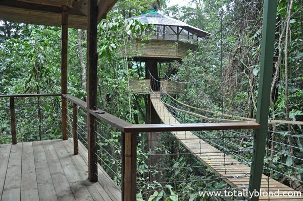 finca-bellavista-9