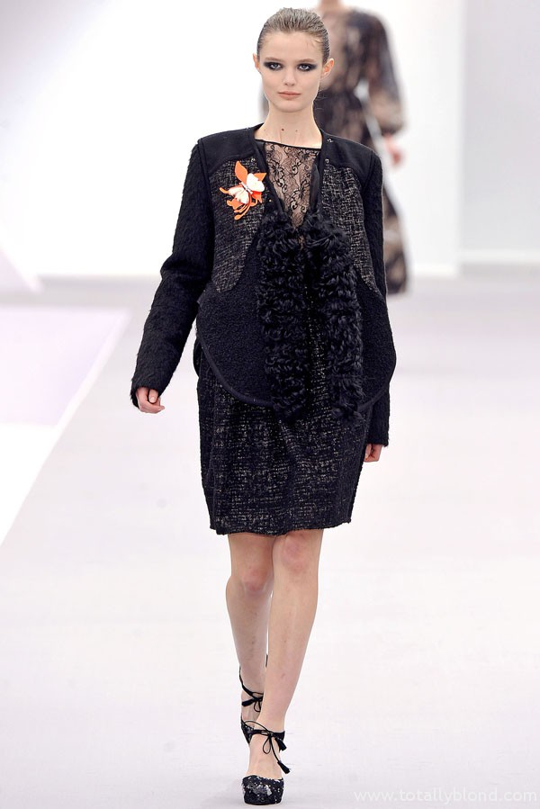 justcavallifall34