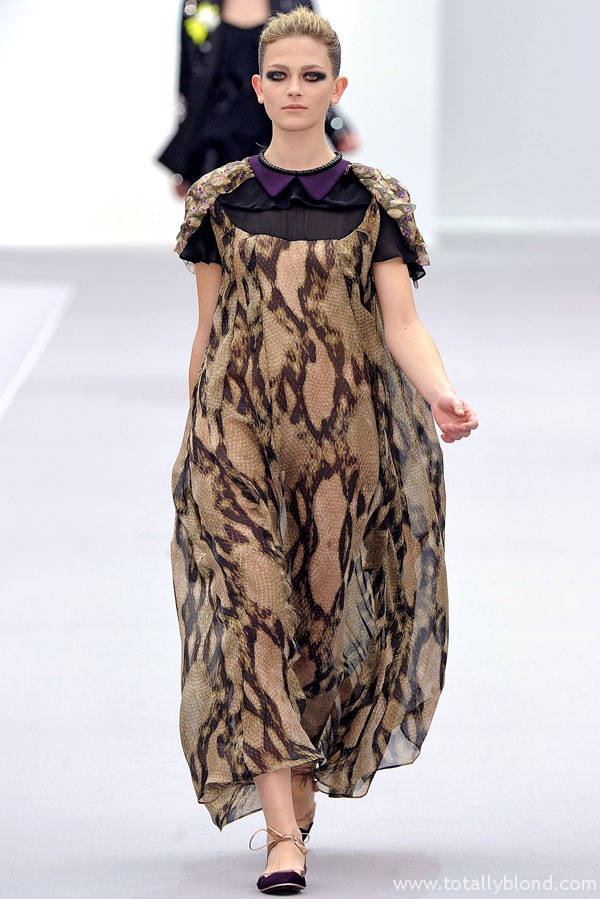 justcavallifall36