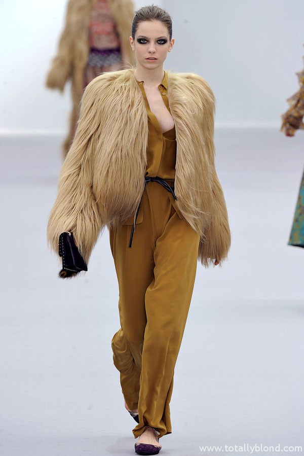 justcavallifall41