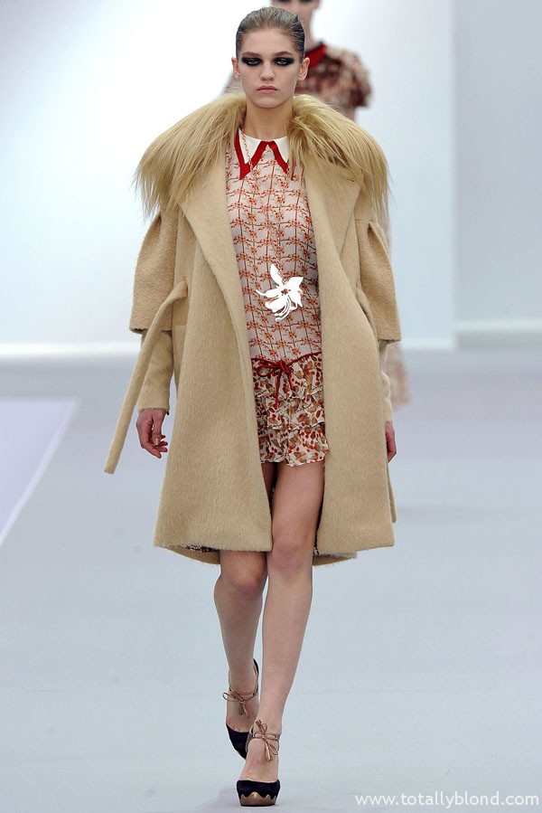 justcavallifall6