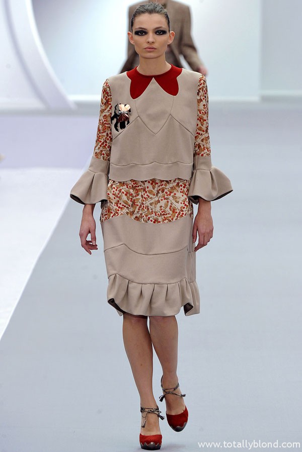 justcavallifall8