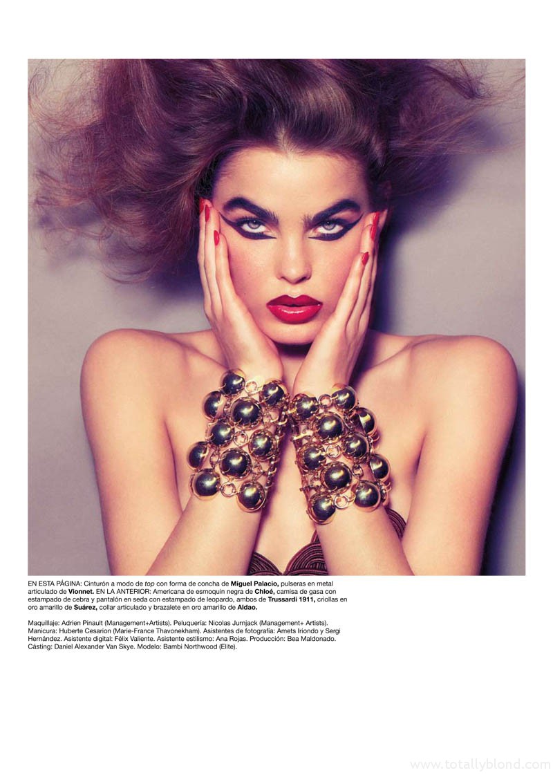 bambi-northwood-blyth12