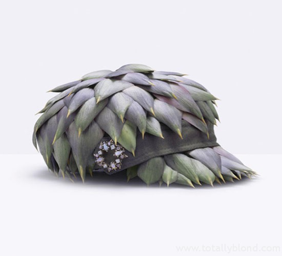 fruit-hat