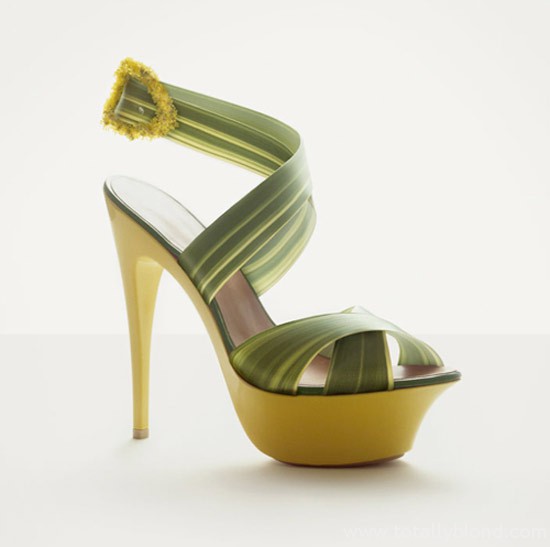 fruit-shoe