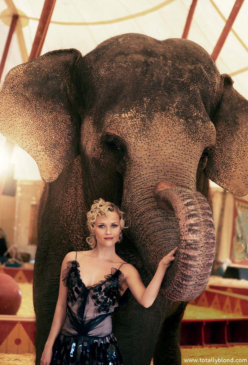 reese-witherspoon1