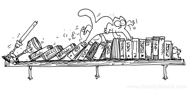 Simon's cat