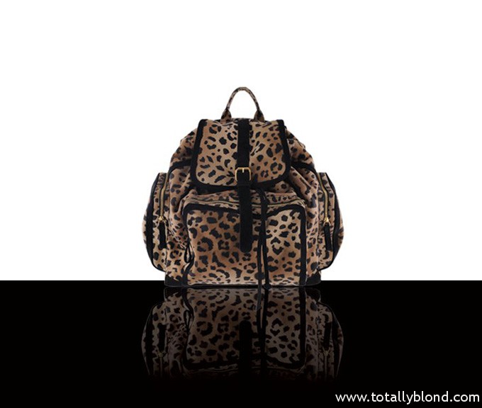 pierrehardywomensaw1112accessories52