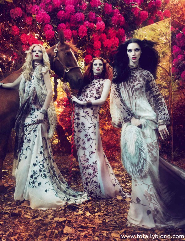 robertocavallicampaign2