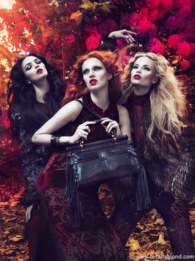 robertocavallicampaign3