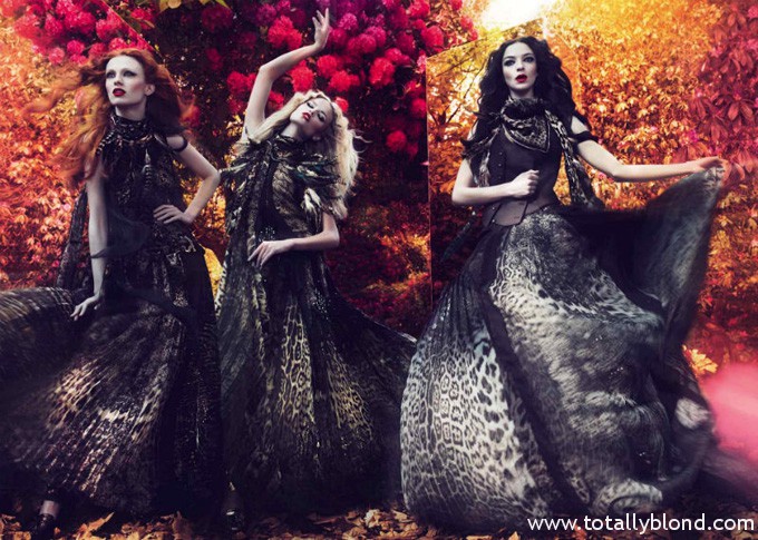 robertocavallicampaign4