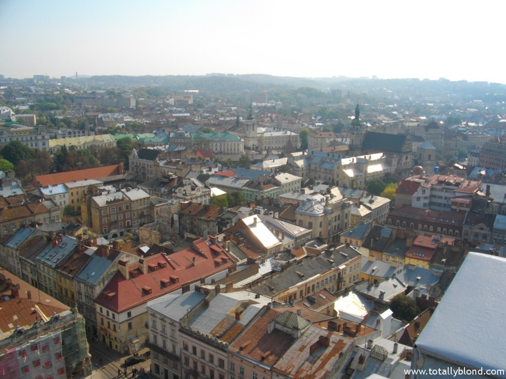 IMGP4097