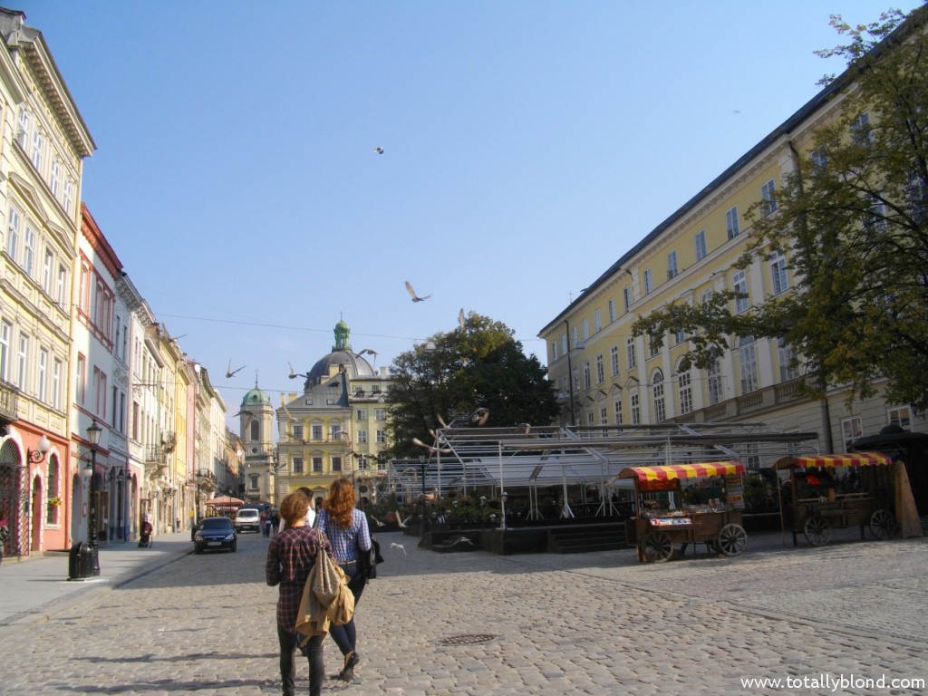 IMGP4127