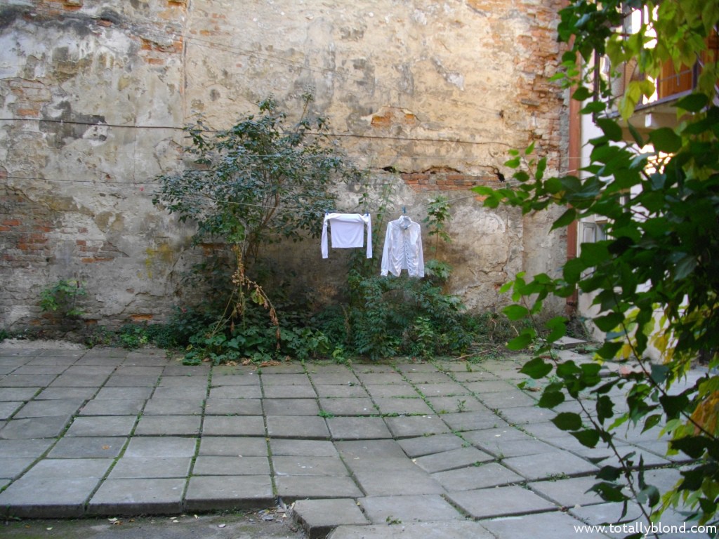IMGP4134