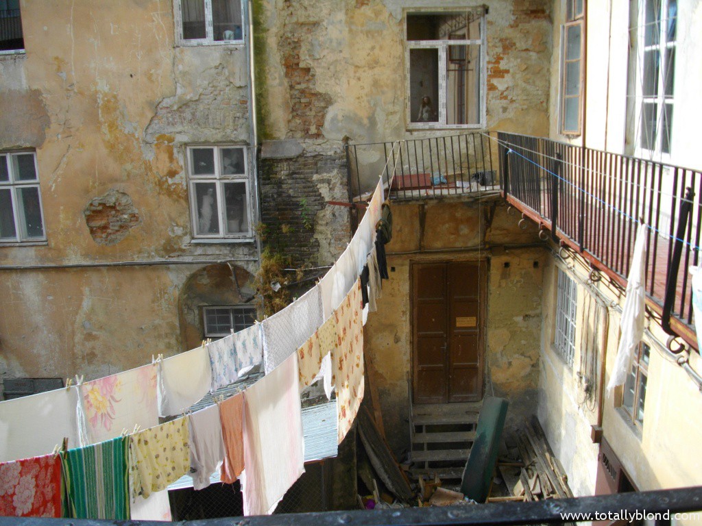 IMGP4292