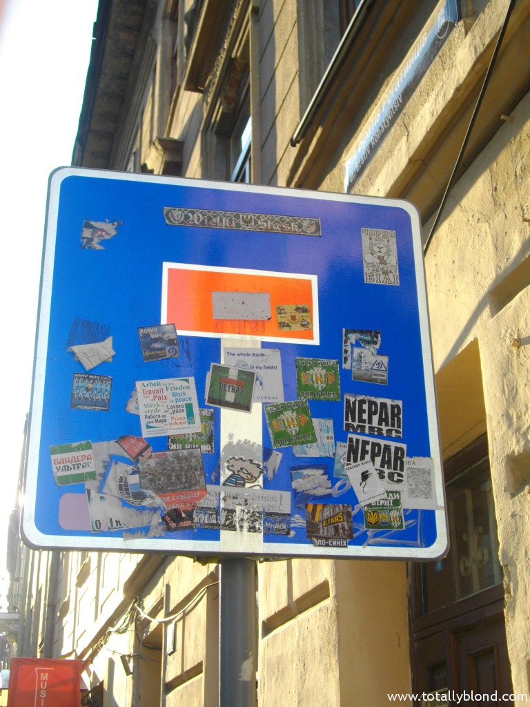 IMGP4311