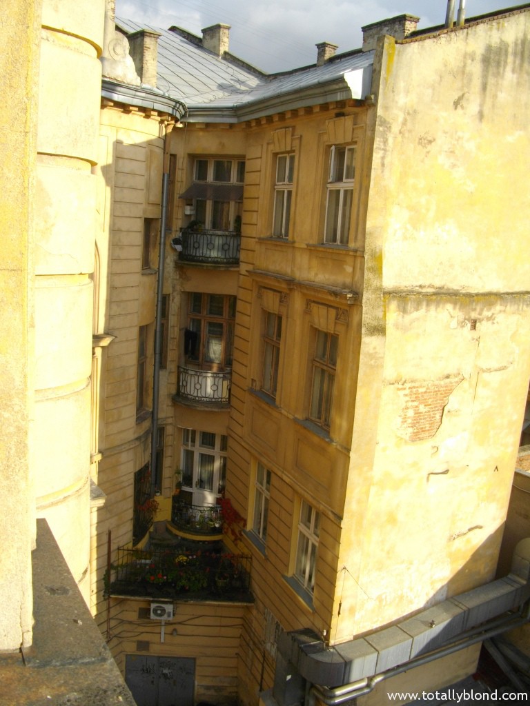 IMGP4347
