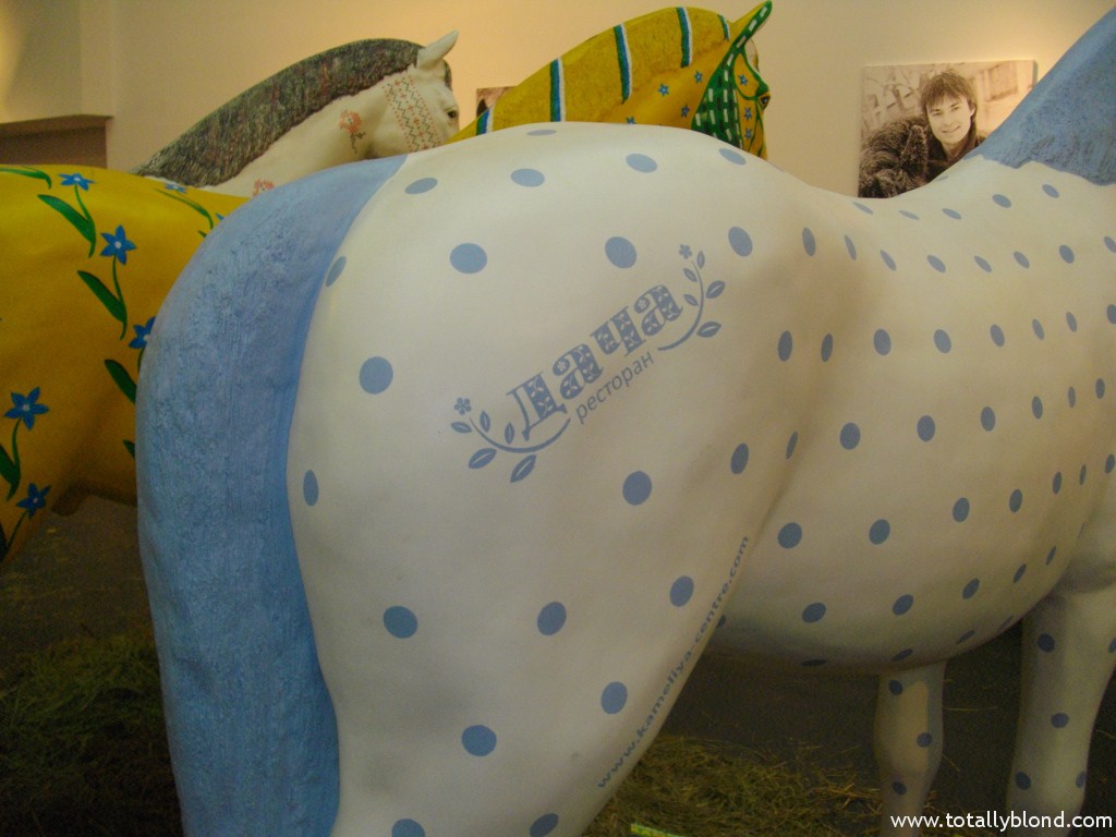 IMGP4871