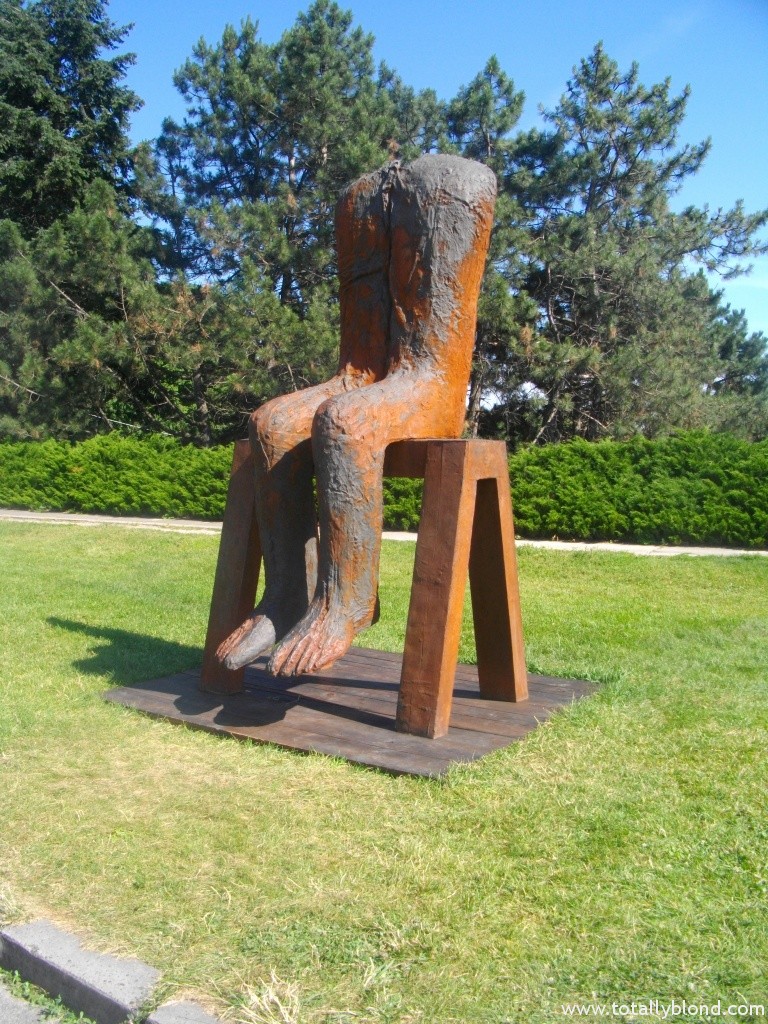 IMGP7921
