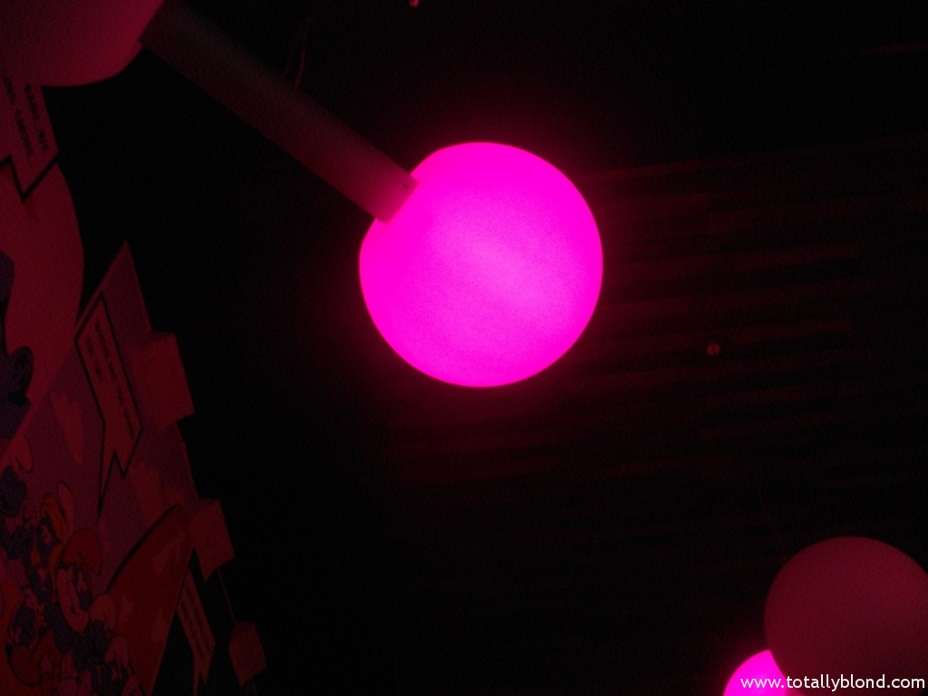 IMGP8041