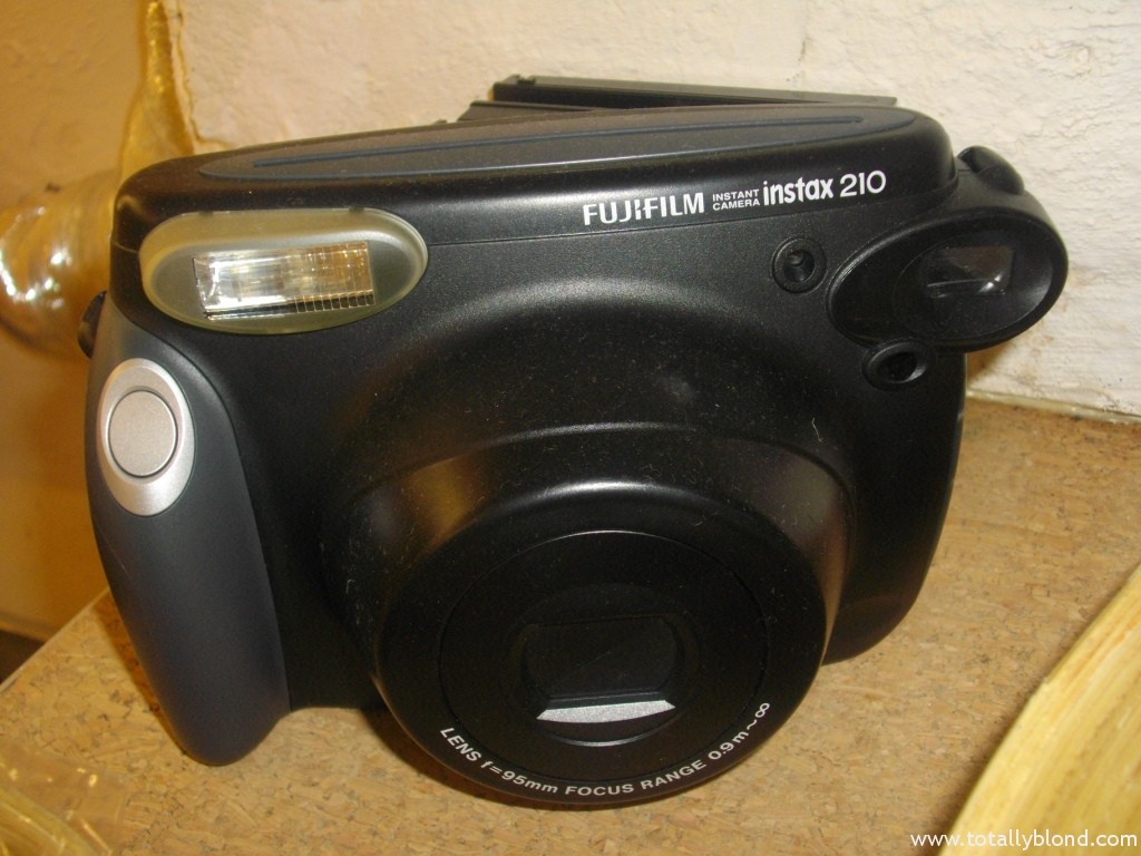 IMGP8194