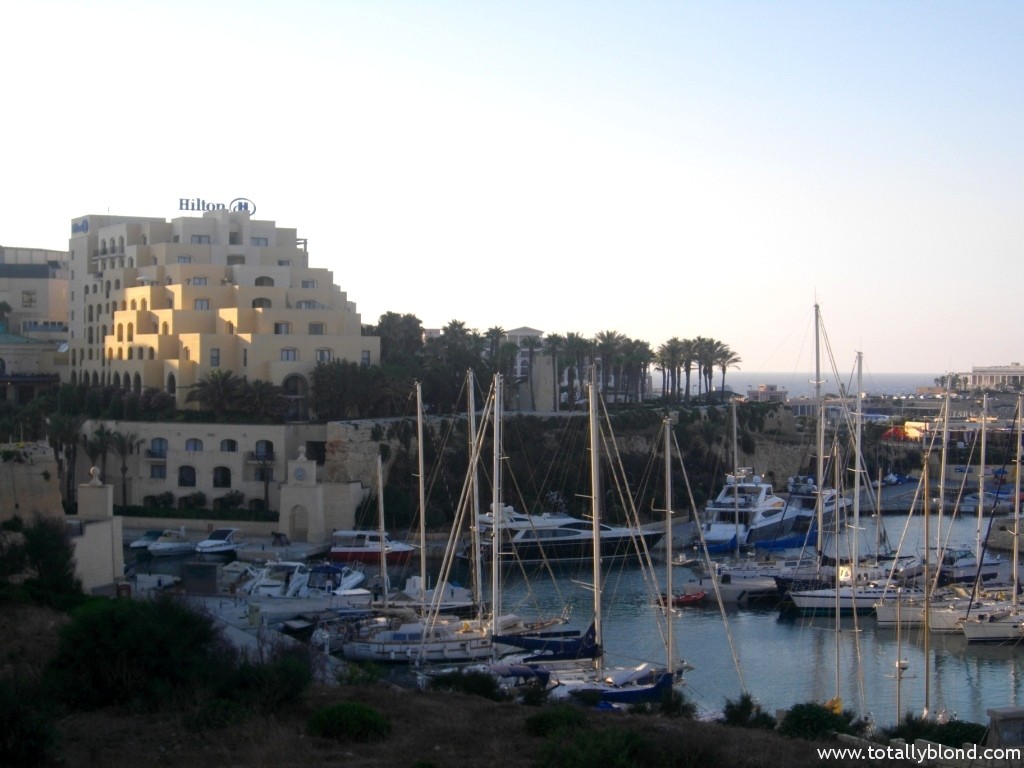 IMGP8376