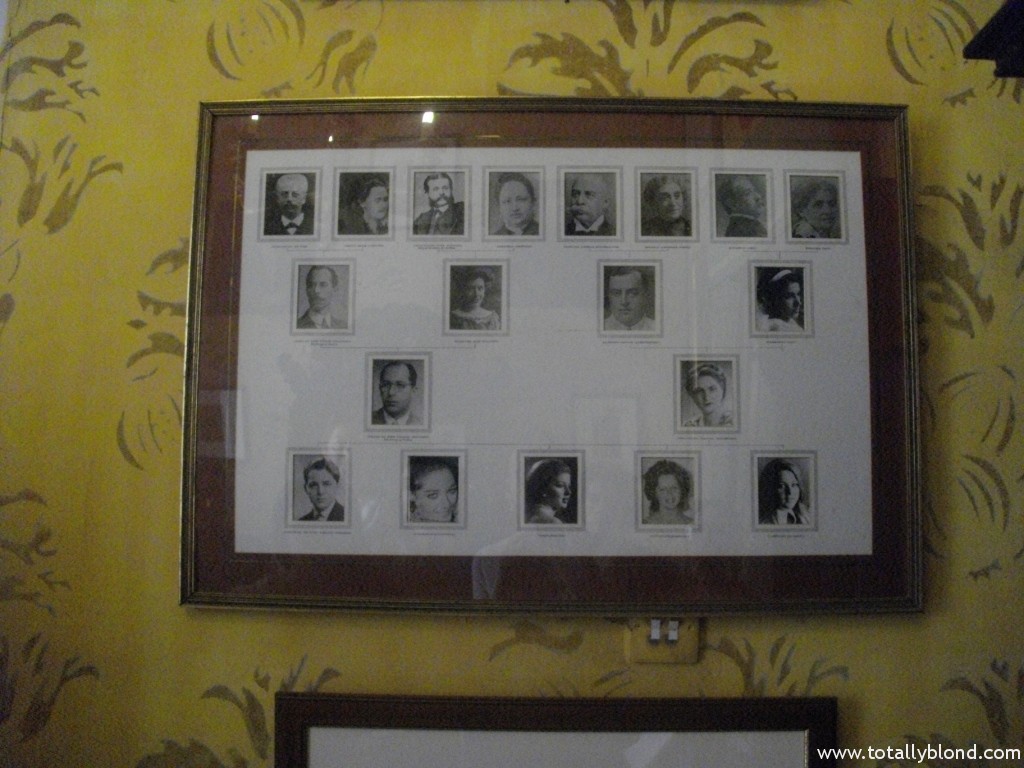IMGP8495