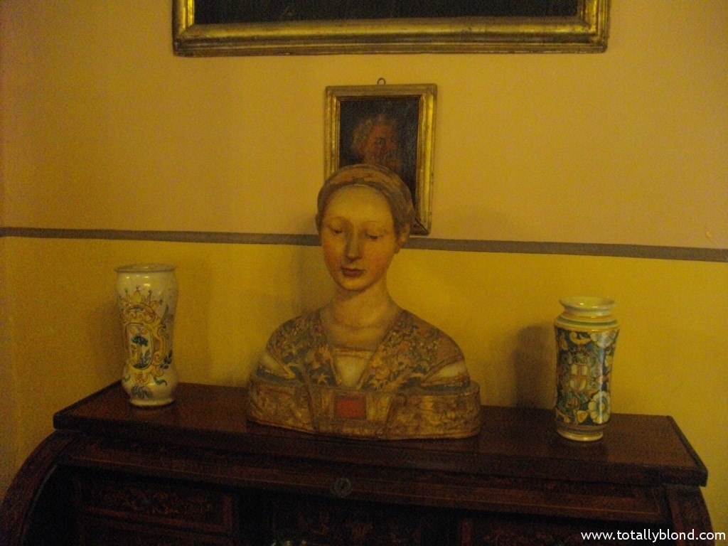 IMGP8513