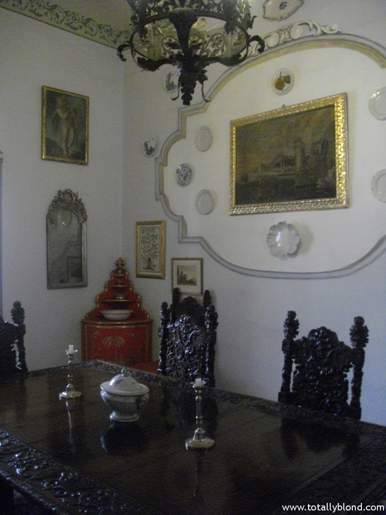 IMGP8515