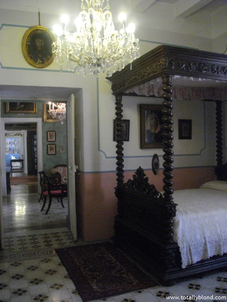 IMGP8520