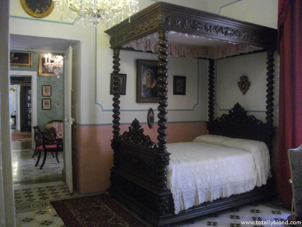 IMGP8521