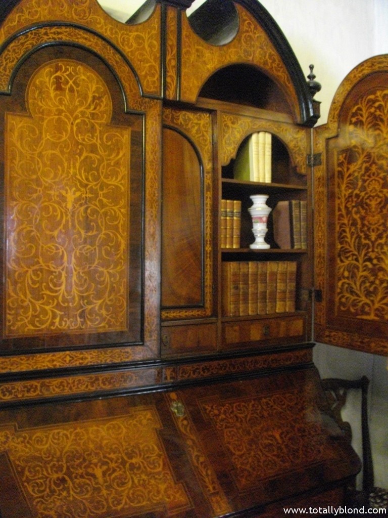 IMGP8541