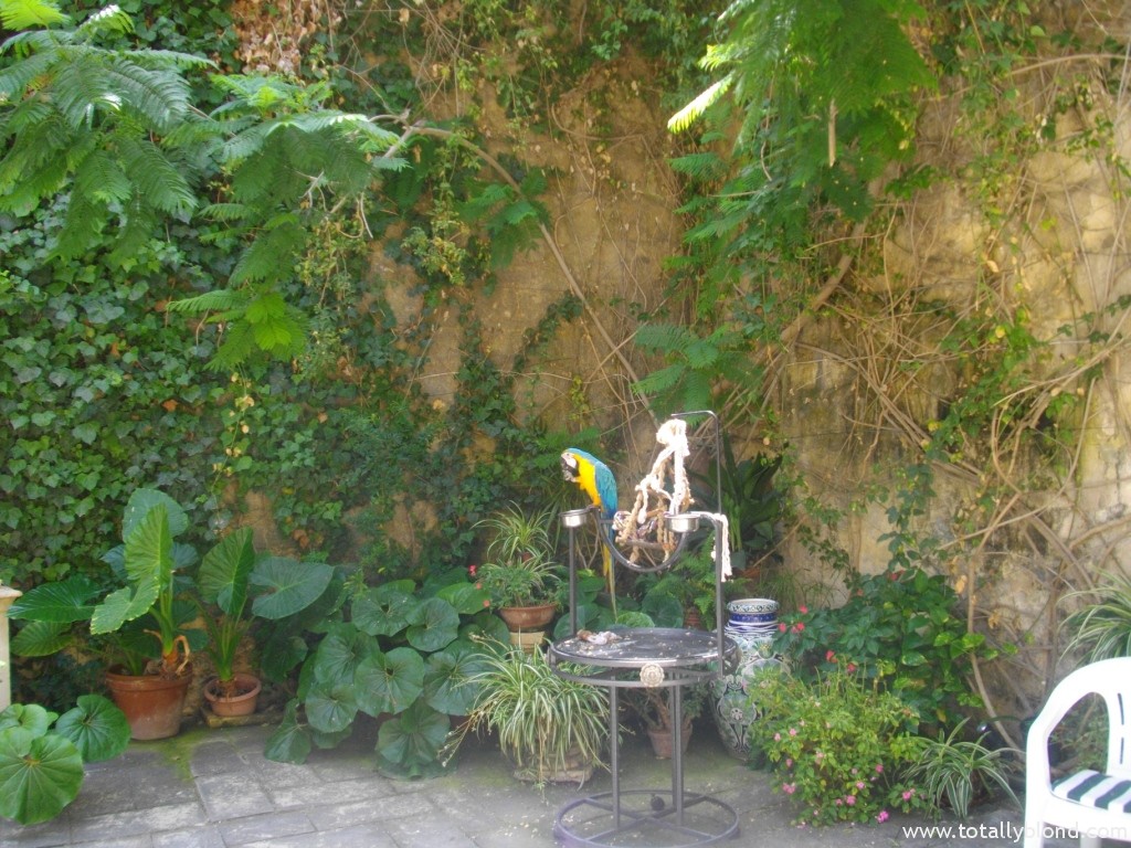 IMGP8552