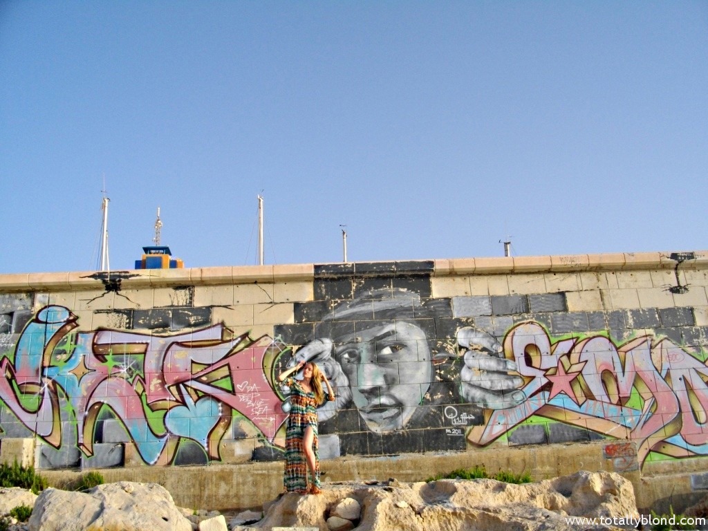 IMGP8645