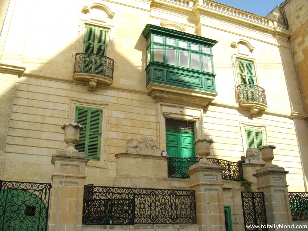IMGP8651