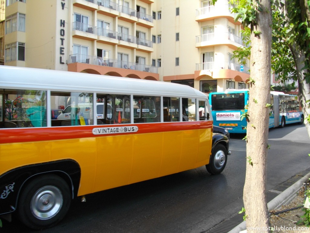 IMGP8652