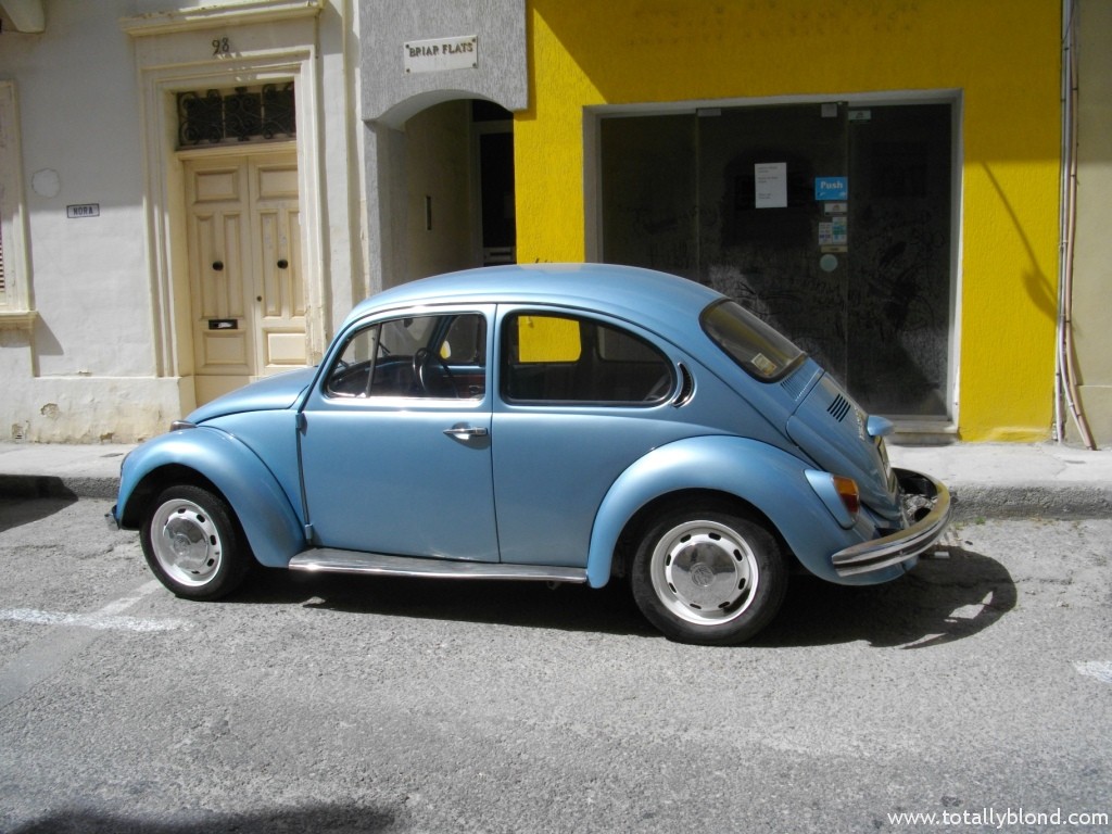 IMGP8656