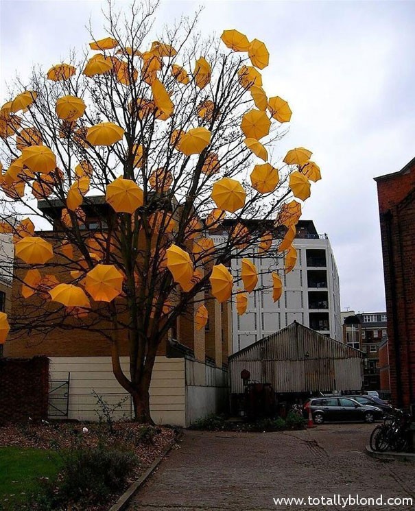 street-art-91