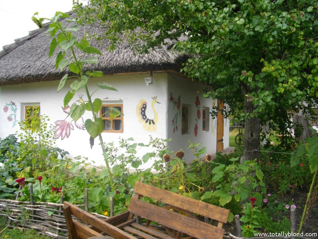 IMGP9183