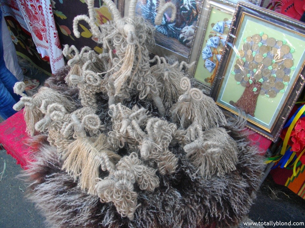 IMGP9221