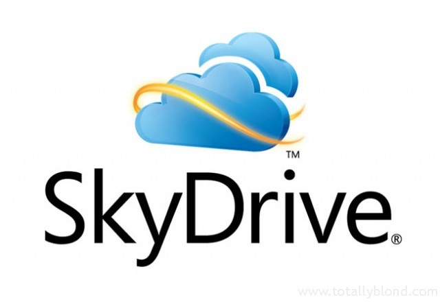 Skydrive-Logo