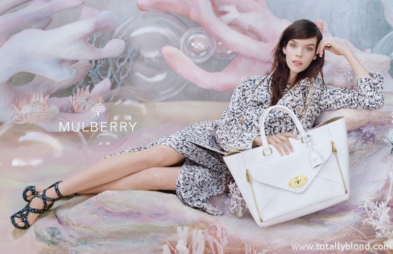 MulberrySS136