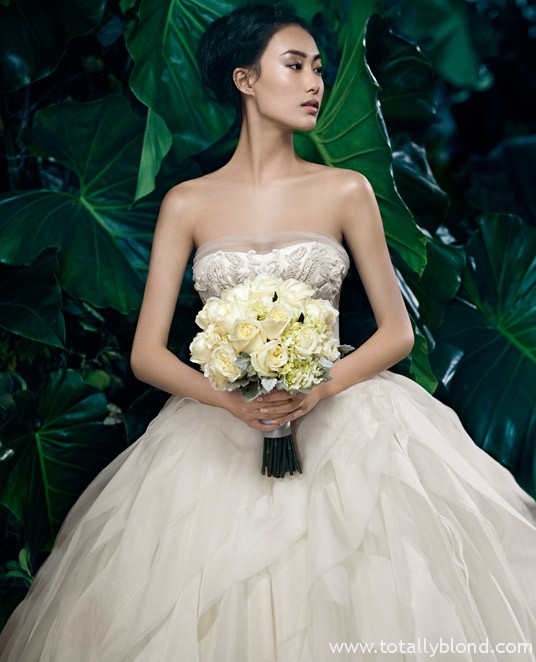 VWSpring6