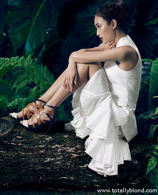 VWSpring8