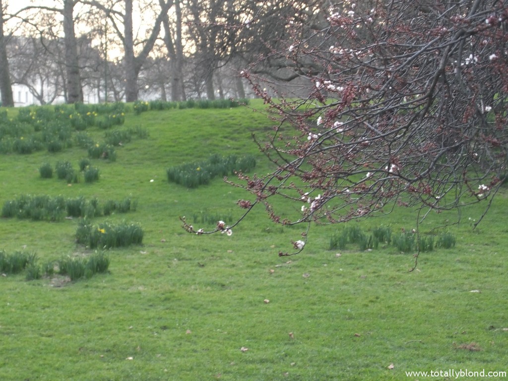 DSCF4278