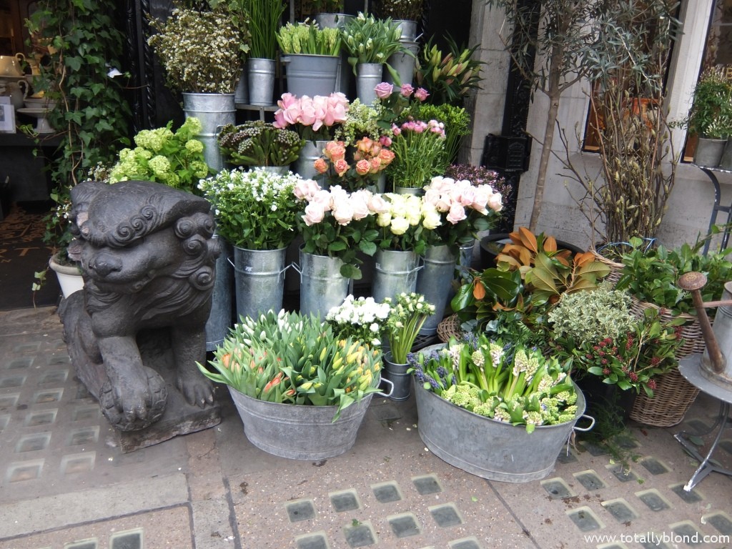 DSCF4384