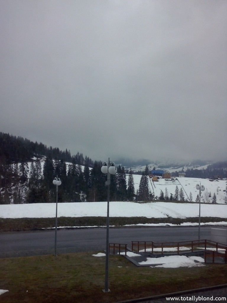 CAM00337